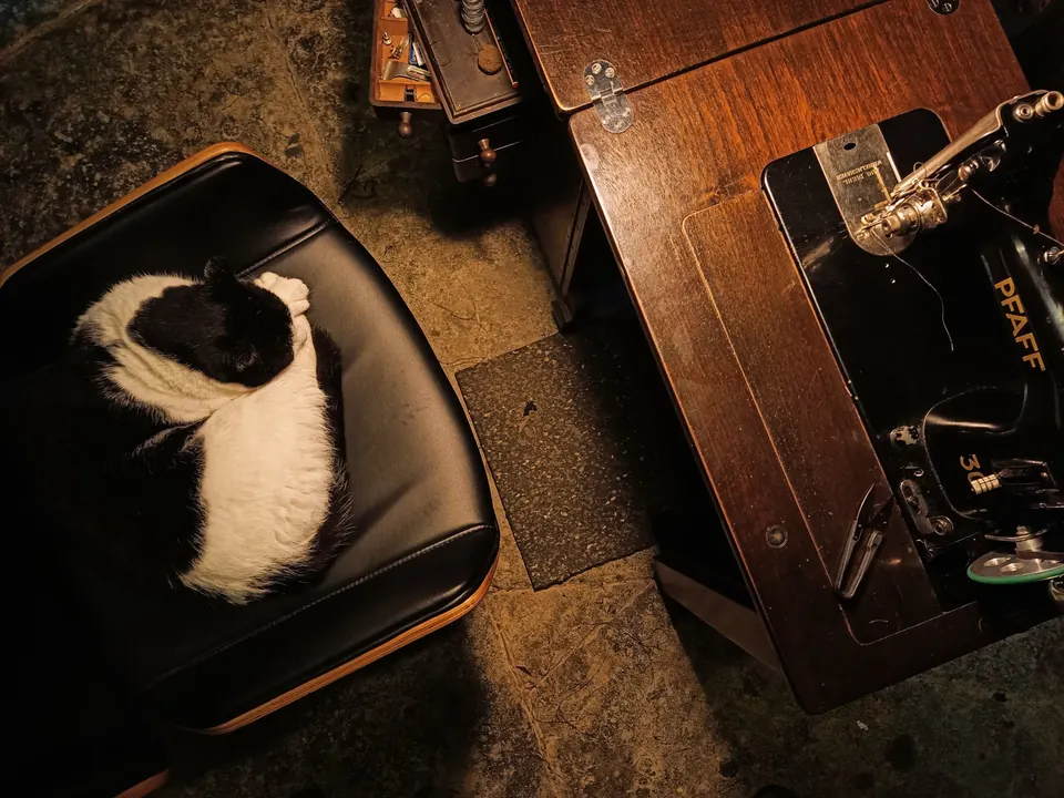 Black-and-white cat asleep on a leather stool next to an old Pfaff sewing machine.